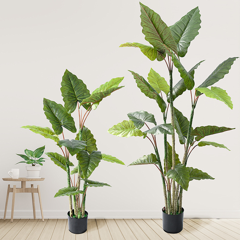 Ins風は緑をまねて虹の芋の木を植えます。|undefined