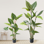 ins风仿生绿植彩虹芋树家居盆栽摆件加厚叶片滴水观音仿真树批发
