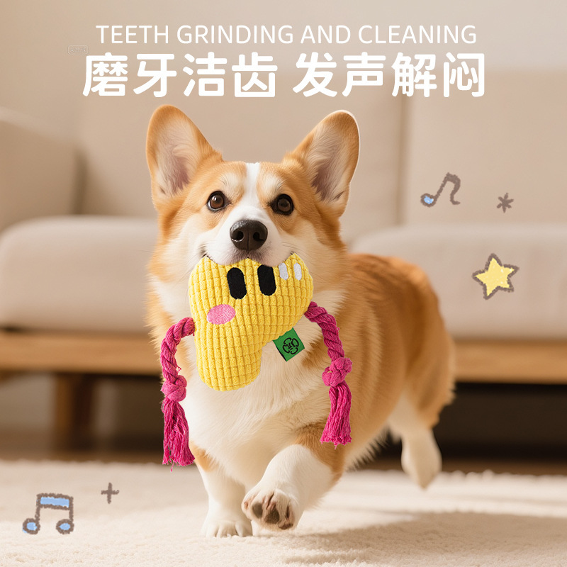 新款字母狗玩具发声自嗨解闷磨牙绳结狗玩具发声宠物玩具跨境批发|undefined