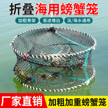 海用螃蟹笼蟹笼加粗加重折叠圆形弹簧笼子抓螃蟹笼海边捕蟹网