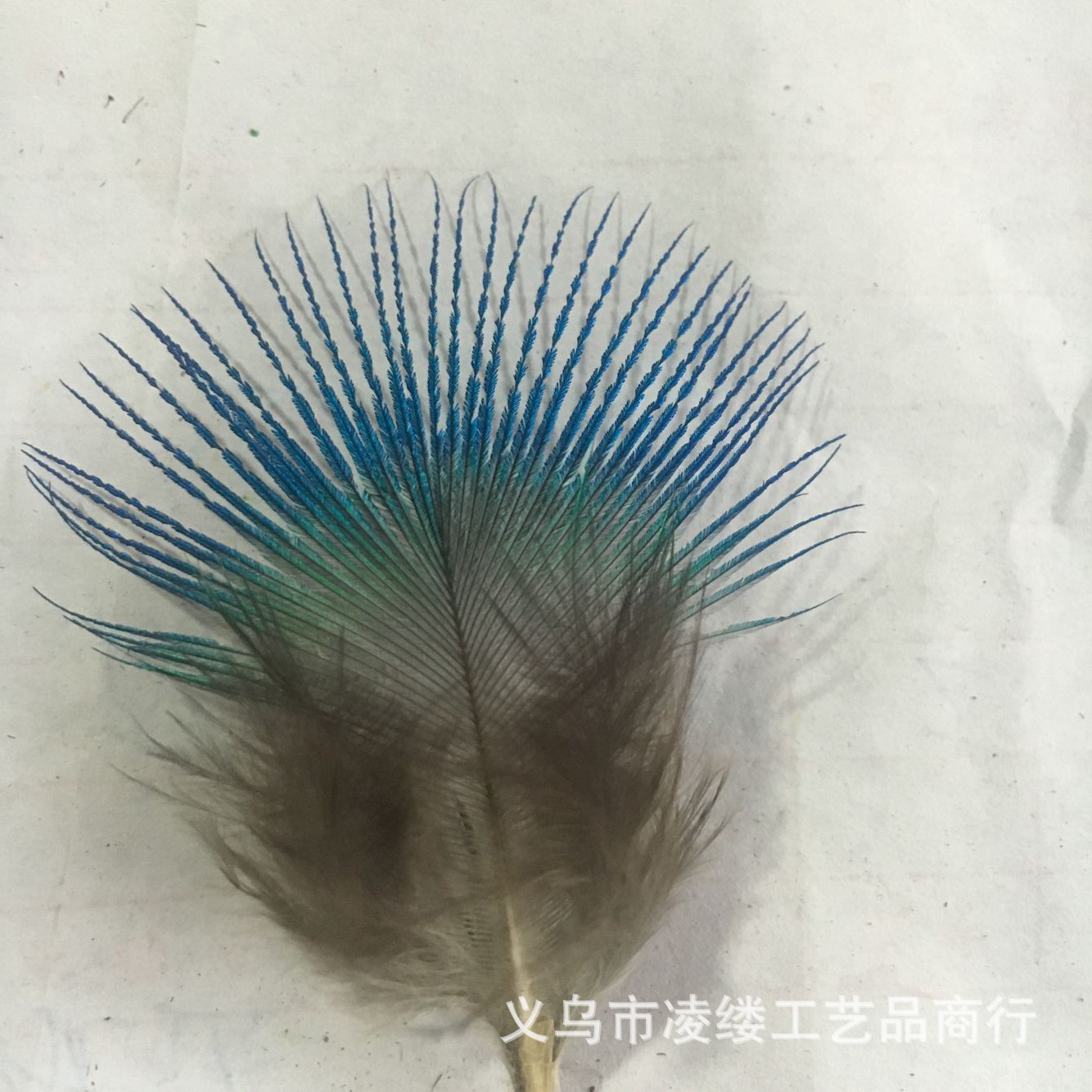 QQ图片20160115110345