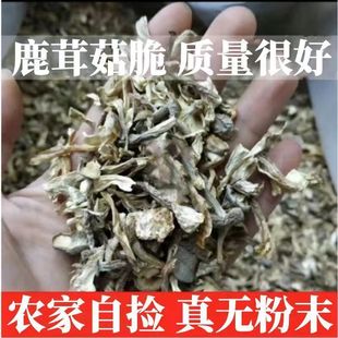 ¹�׹�С��Ƭ���l����500�خa���rĢ����������W���Ҝ��㹽