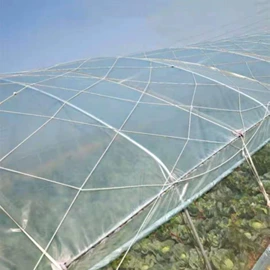 攀爬网;其他安全网;大棚网