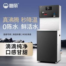 碧丽商用节能饮水机JO-2Q5C-RO校园单位工厂办公车站反渗透开水机