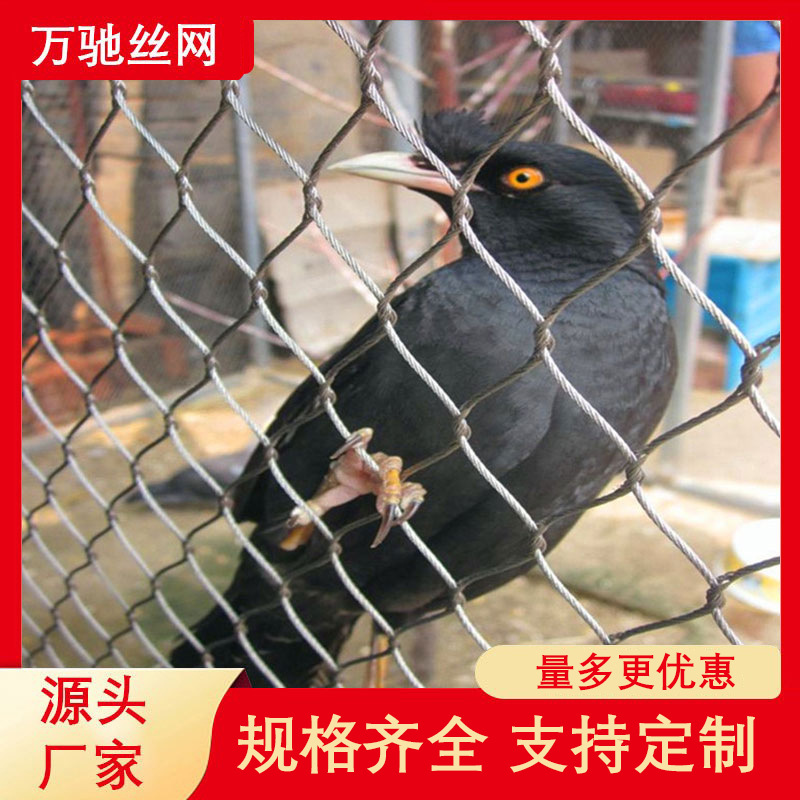 动物园老虎笼舍围网不锈钢绳网鸟园防护网动物围栏柔性鸟笼舍网