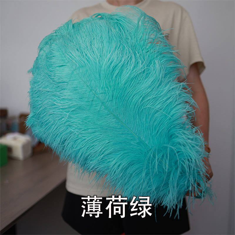 55 - 60cm plumas de avestruz de Sudáfrica al por mayor accesorios de ropa DIY accesorios materiales accesorios de diseño de boda lana de avestruz