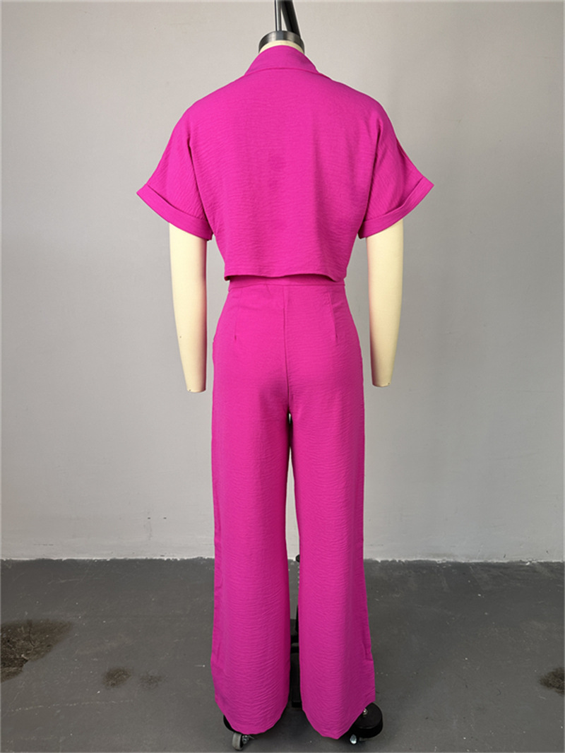 Holiday Daily Women's Casual Solid Color Polyester Button Pant Co-ord Set Pants Sets display picture 10