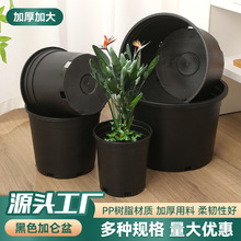 黑色加仑盆批发果树花盆苗圃基地黑加仑盆塑料圆口外贸专供黑花盆