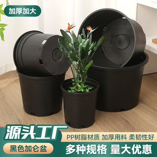 Black Gallon Pots Wholesale Fruit Tree Flower Pots Nursery Base Black Gallon Pots Plastic Round Mouth Foreign Trade Special Black Flower Pots