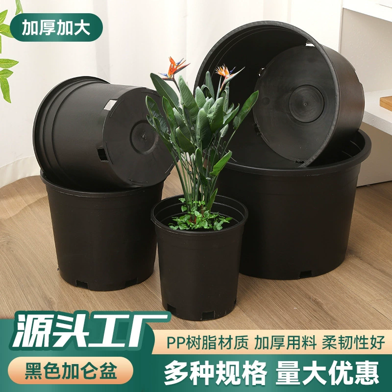Черные галлонные горшки оптом, цветочные горшки для фруктовых деревьев, база питомника, черные галлонные горшки, пластиковые круглые горшки, специальные черные цветочные горшки для внешней торговли