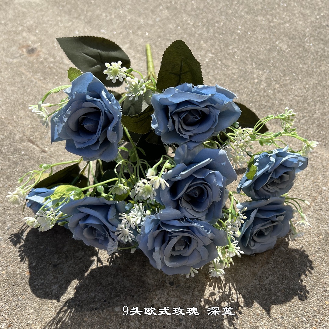 9 Europeo rosa azul oscuro