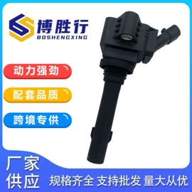 油泵、油嘴;点火线圈;其他发动系统