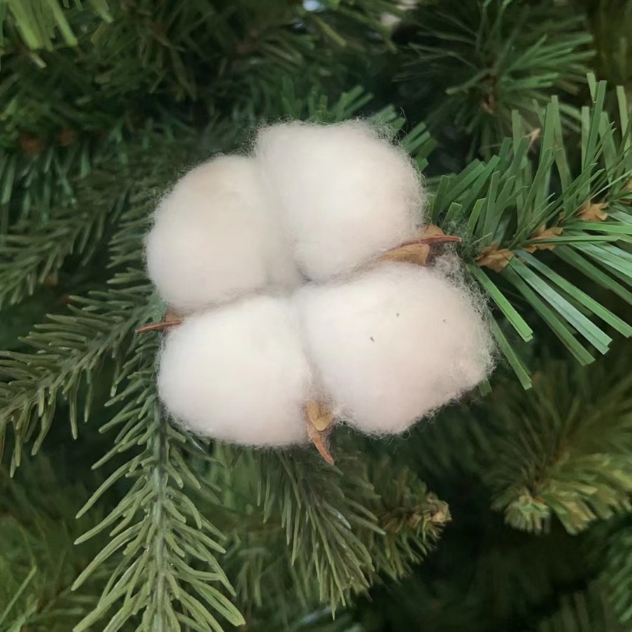 2024-06-06 18:47:01.jpg