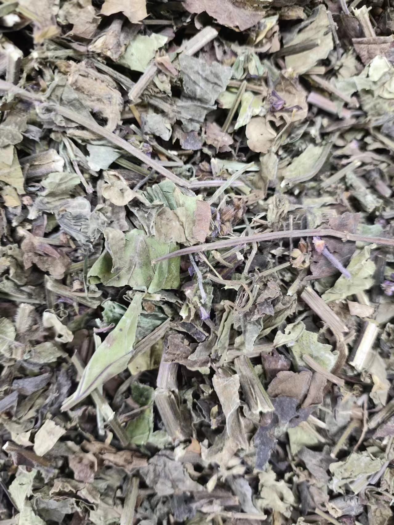 Shi Jian Chuan (Salvia chinensis) — Dried Chinese Herb for Traditional Decoctions quality and texture