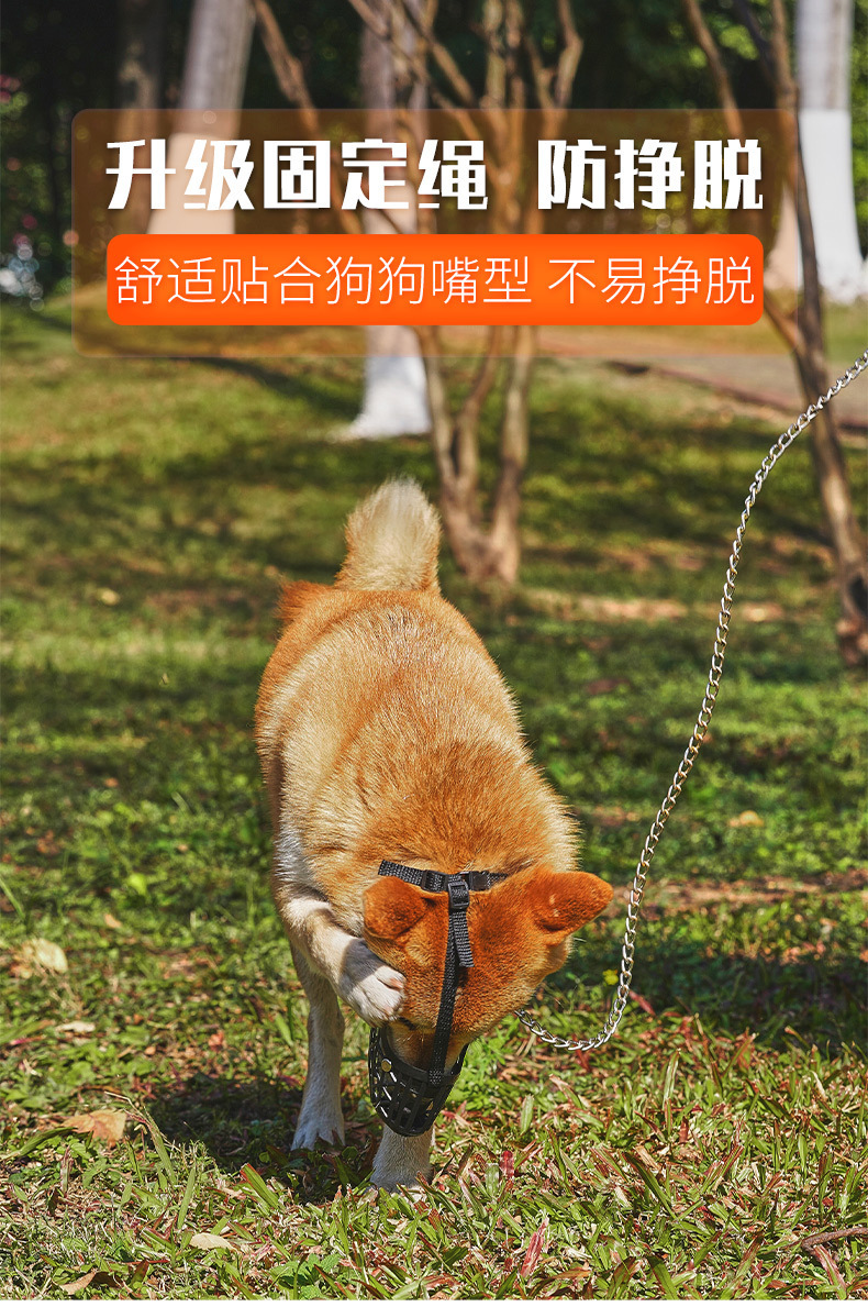 微信图片_202506052121203