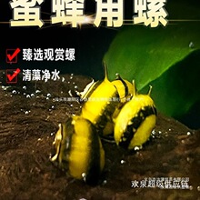 �۷�����^�p���O���ݺڽ����ʵ����ذ��R���[�坍���幤�S������