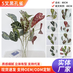 �羳����5��ڿ�ȸ���^�~�Gֲ�侰�Ҿ��҃��b������廨���ؼ�