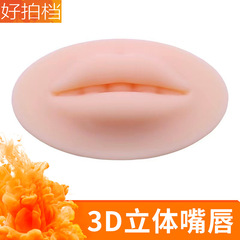 Lip Embroidery Module 3D Stereo Lip Simulation Solid Silicone Lip Module for Beginners and Novices Lip Embroidery Practice Skin