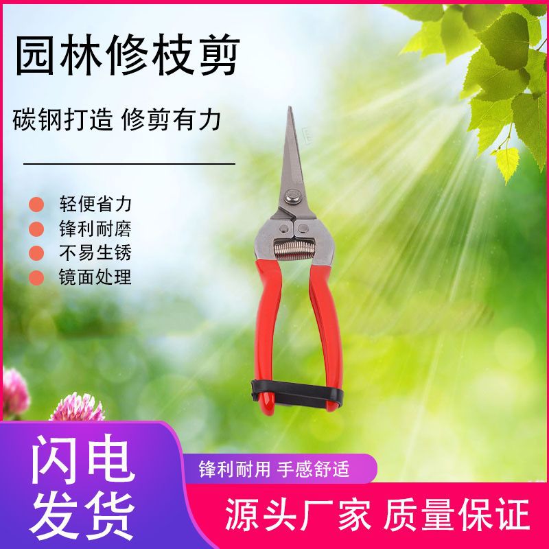 摘果剪园林修枝剪树枝剪园艺绿化花枝剪剪厂家批发现货高碳钢枝条
