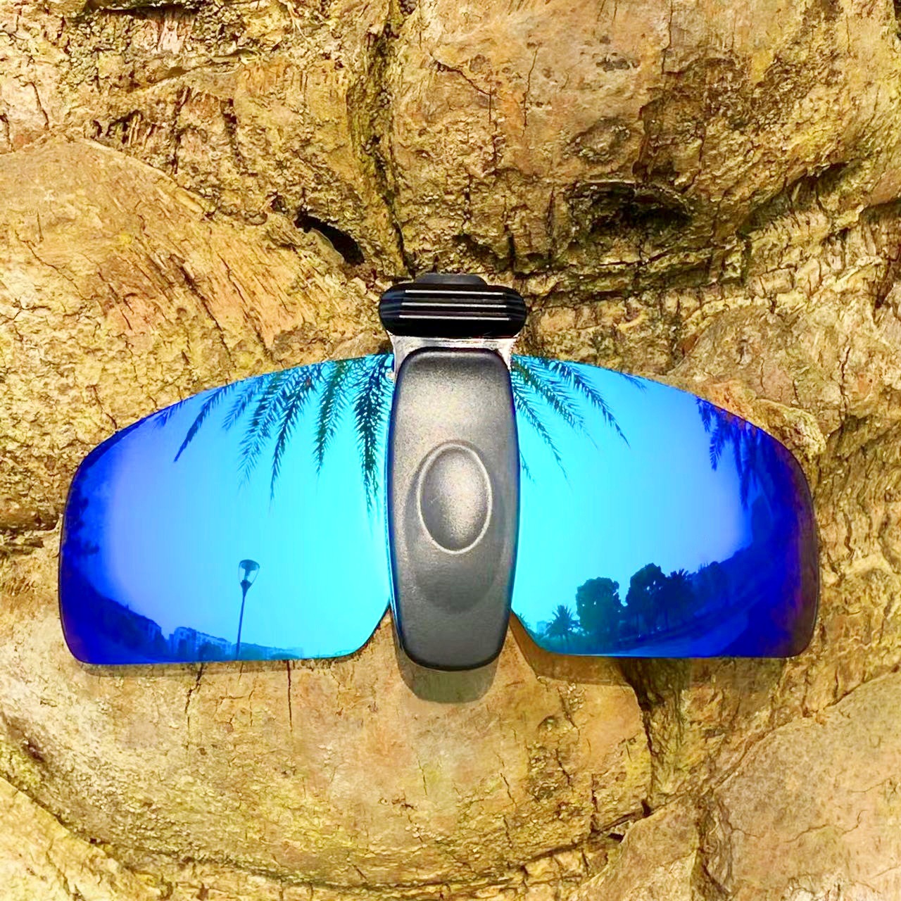 微信图片_20240416092755_副本2