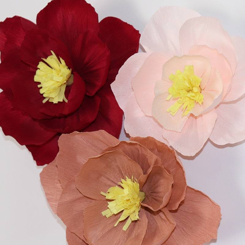 b909c850f266e918790ca6ac1c1ca9