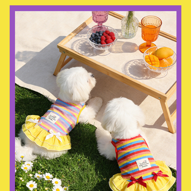 Rainbow Striped Sun Protective Dog Dress For Summer Camping_voghion.com