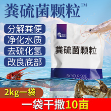 �S����w���ֽ�ĵלp�ٺ������ן�ֽ��ЙC�|�~�ӵ�����ˮ�w��