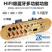 �羳ר��2.1����3116IC�������Ű�ߵ��������ص�����D900����