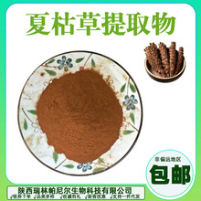 夏枯草提取物 夏枯草粉水溶棕色粉末瑞林帕尼尔1kg起量大优惠