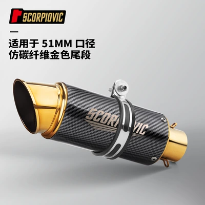GPR250, Motorcycle exhaust pipe - imitation-carbon-fiber-gold-tail-section