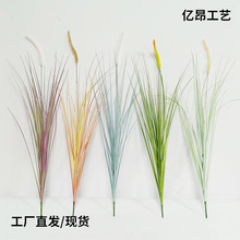 仿真绿植造景狗尾巴草单支假草植物芦苇毛毛草婚庆装饰假花批发