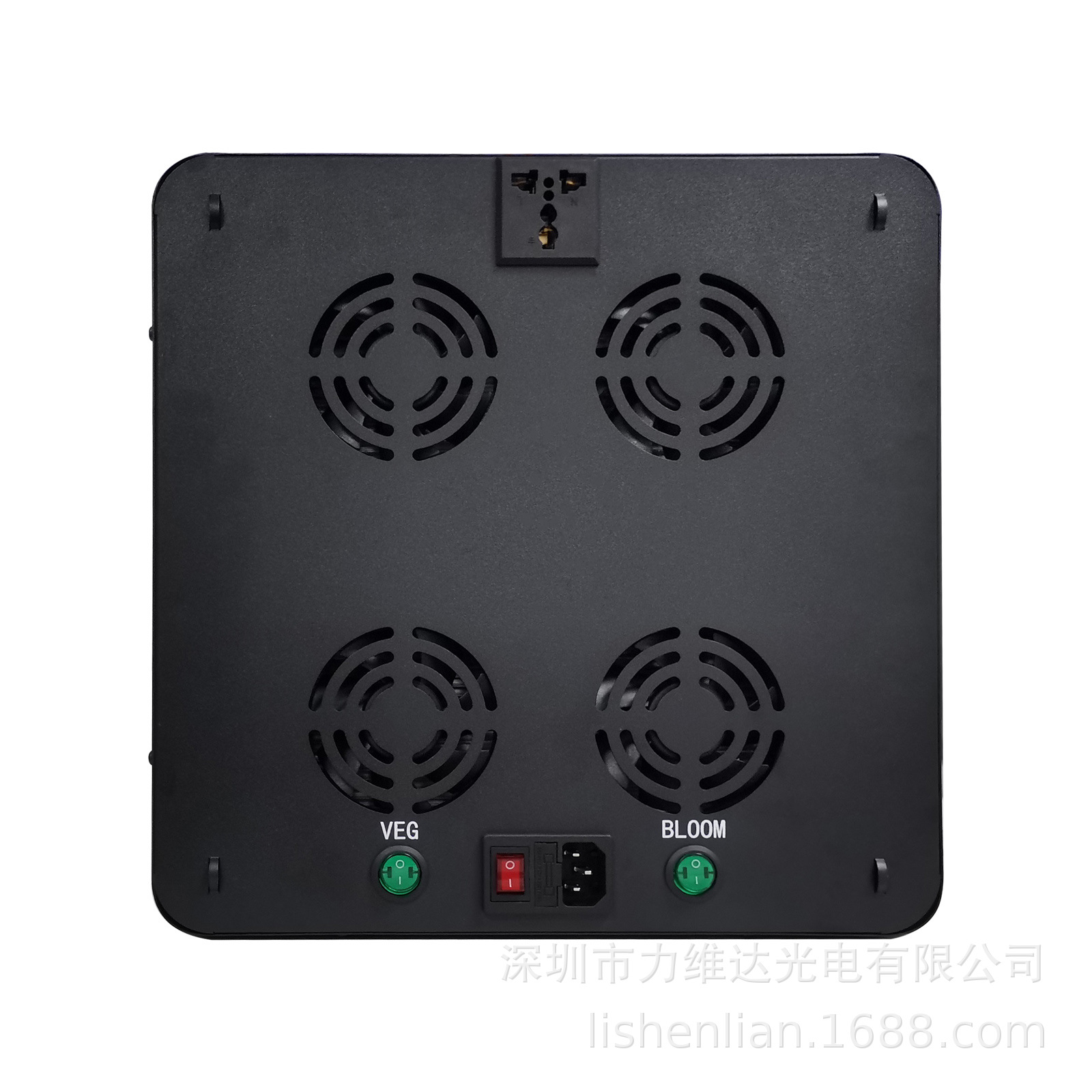 άCOBȫ1000wledֲVEG BLOOM˫شڲ