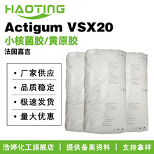 μ Actigum VSX20 턩 С˾z/Sԭz ĩ 10gӆ