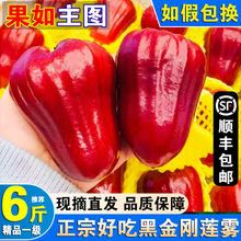 正宗泰国黑金刚莲雾当季新鲜大果雾莲果热带海南特产