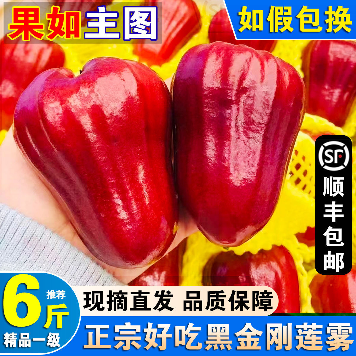 正宗泰国黑金刚莲雾当季新鲜大果雾莲果热带海南特产