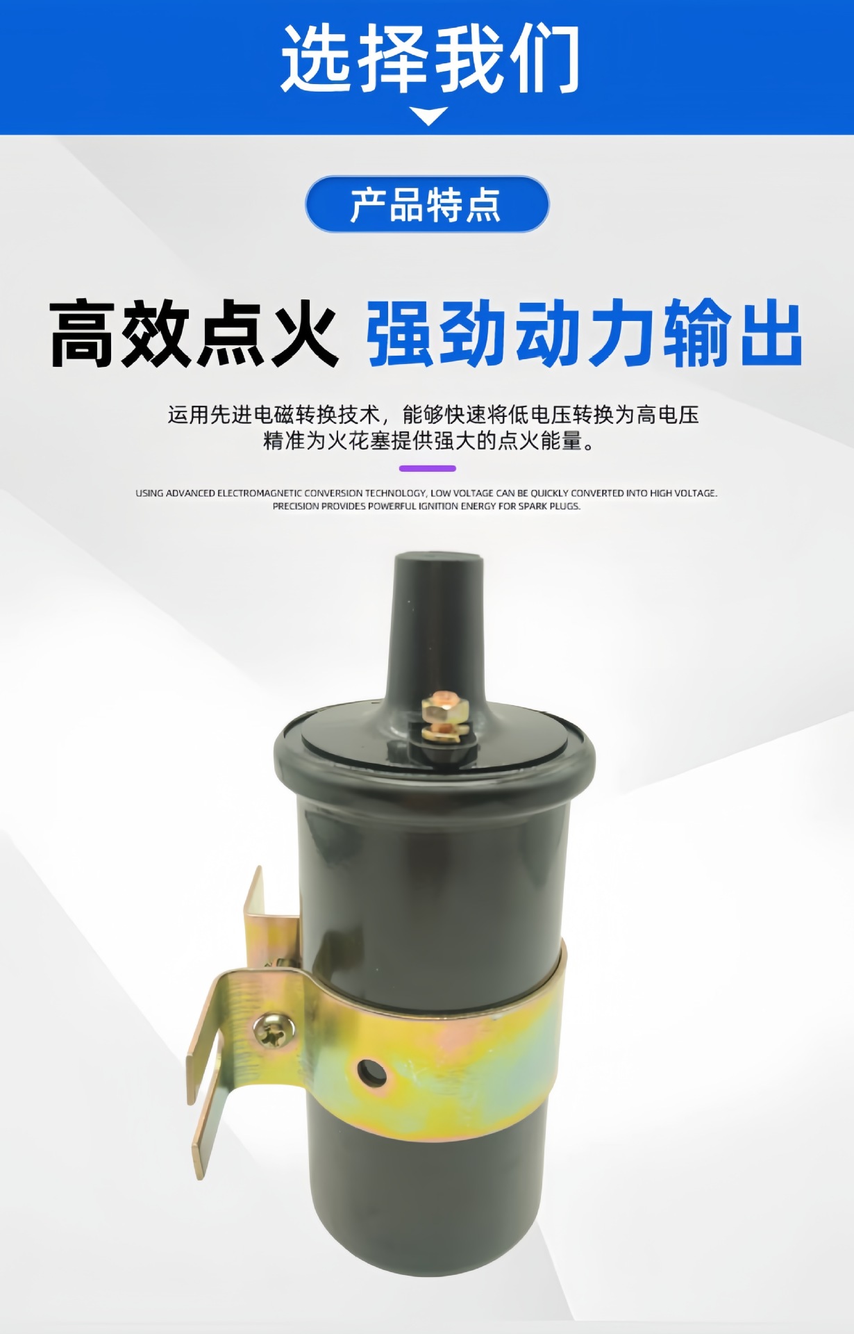 Ignition Coil 8m0079202 392-805570A2 392-805570A1 Compatible with Mgm Thor