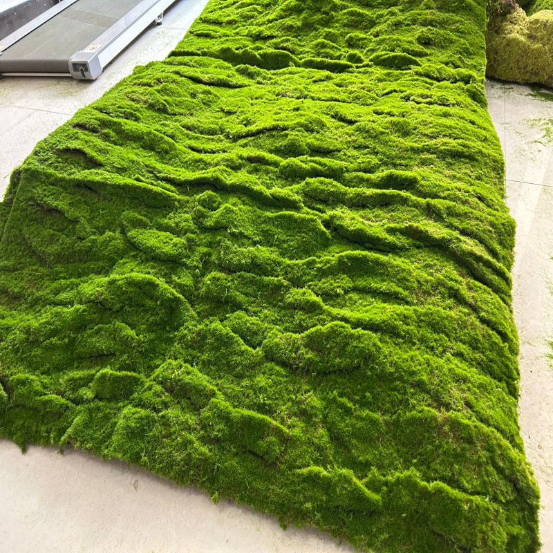 Green bottom stripes price per square meter