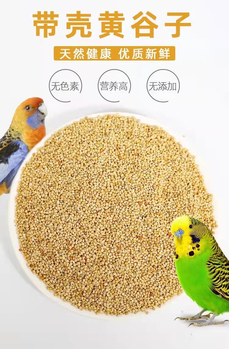 22b21ee1-deeb-4ac9-9d6a-2eb382a2cb82.jpe