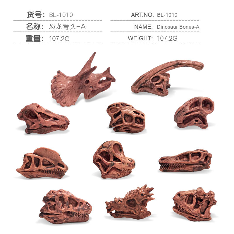 BL-1010 de huesos de dinosaurio tipo A 0.107kg