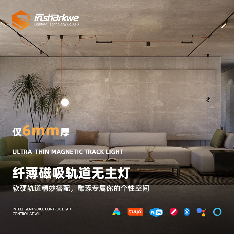 超薄型無主灯埋め込み式リビングルームグリル型家庭用投光暗磁吸トラック溝型スポットライト調光可能|undefined