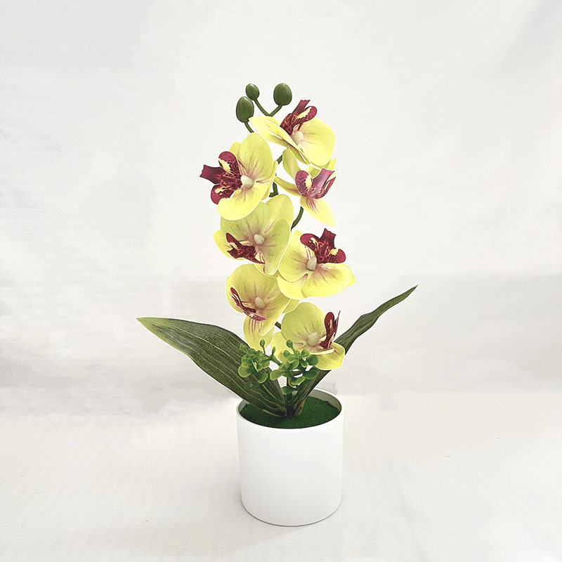 그린 (높이 31*가로 20cm)
