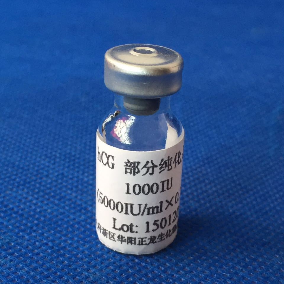 HCG部分纯化品(1KU)（仅科研使用）