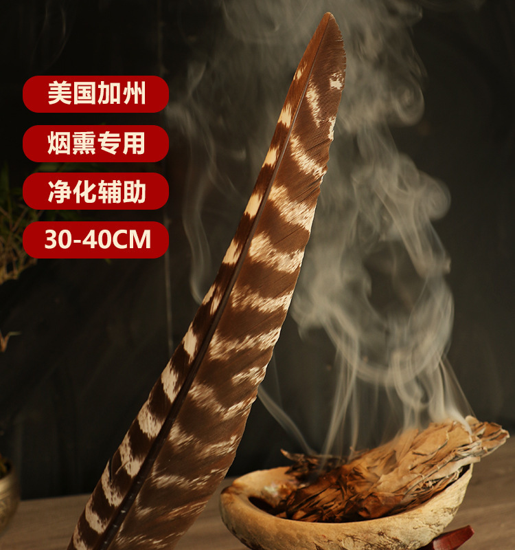 美国加州黑火鸡羽毛白鼠尾草净化引导羽毛风元素祭坛仪式圣品 图 2