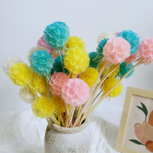 С�����^���������x�����r���L܇��diy���ϻ��в�����������l