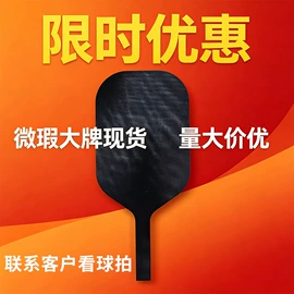 其他运动休闲;匹克球;匹克球拍