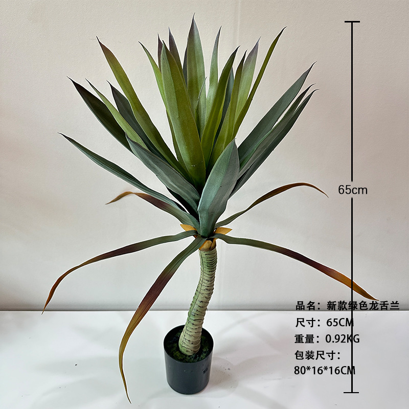 Nuevo agave verde 65cm