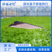 ȫ����ֲ�������Ƶ���ʽ���Ҵ�����⻨����ֲ�����Ӱ岹���