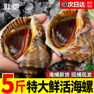 �����r���ش����ݺ��������r���r�F�l����Ƭ5����S���]����