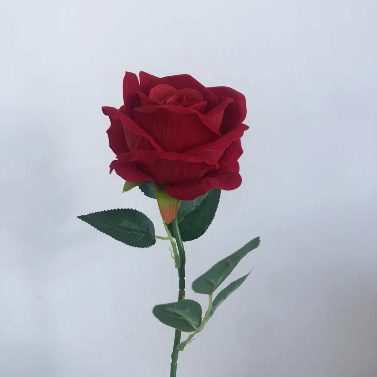 밝은 빨간색