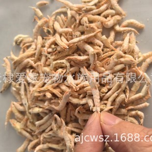 Freeze-Dried Shrimp Pet Fish Food Feed Dried Shrimp River Shrimp Turtle Food Meat White Golden Shrimp
